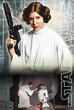 3Dポストカード STAR WARS スター・ウォーズ オリジナル・トリロジー Princess Leia