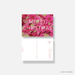 日比谷花壇 クリスマスカード typography-02 Princettia N7741