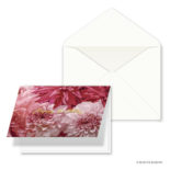 日比谷花壇 グリーティングカード ダリア N7705