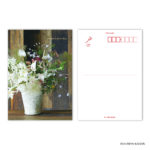 日比谷花壇ポストカード2 Have a nice day-3 N7786 | 2026年版手帳