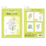 塗り絵ポストカード 健康-1 N7798 | 2025年版手帳 | 手帳