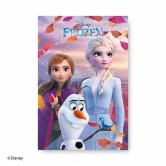 3Dポストカード アナと雪の女王２S4725