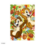 3Dポストカード ジャンプフォージョイ S4795 | 2026年版手帳 | 手帳