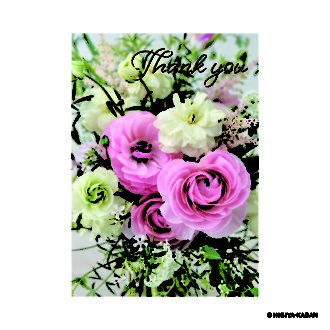 ポストカード５ Thank you-1　N7848