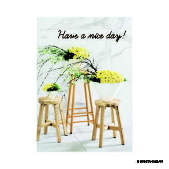 ポストカード５ Have a nice day-2　N7857