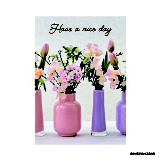 ポストカード５ Have a nice day-3　N7858