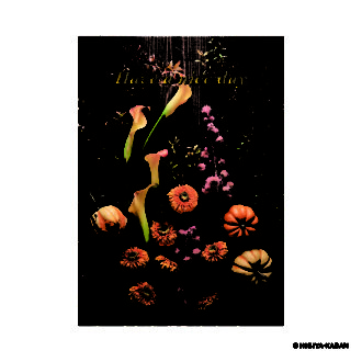 ポストカード５ Have a nice day-4　N7859