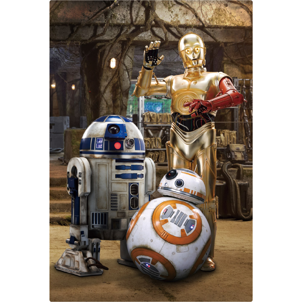 3Dポストカード スター・ウォーズ/フォースの覚醒 C-3PO R2-D2 BB-8 All-star Droids S3709