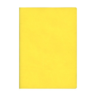 Signature Notebook A5 Yellow N75170 R4005