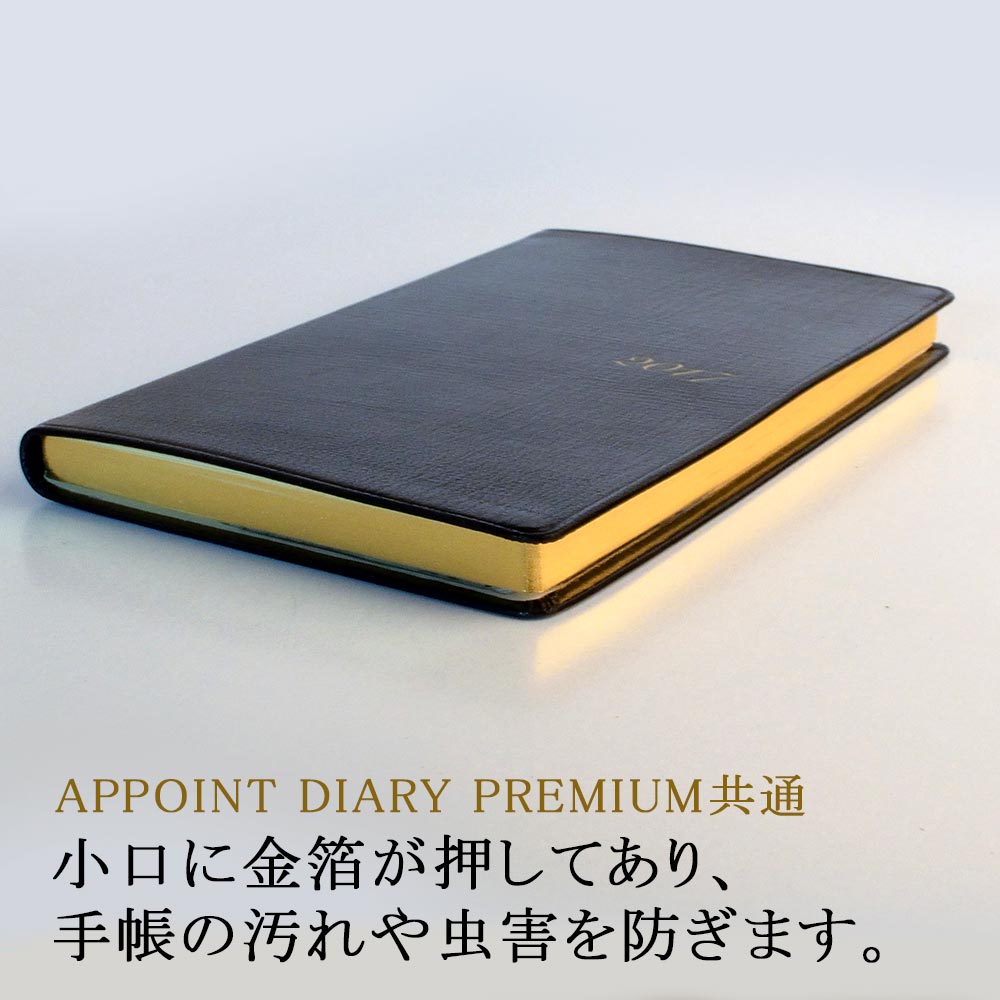 2017年1月始まり アポイントプレミアム E1600 本革 縦開 薄型 1ヶ月横罫 手帳（ミニ）サイズ ブラック APPOINT DIARY  PREMIUM