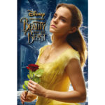 beauty:beastビューティービースト大判限定ポストカード11枚 beauty:beastビューティービースト大判限定ポストカード11枚