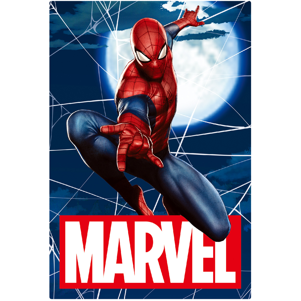 MARVEL 3Dポストカード-002 スパイダーマン Spiderman S3775 | 2021年版手帳 | 手帳（ダイアリー）のダイゴーオンラインショップ