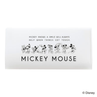 ミッキーマウス生誕90周年商品 チケットサイズファイル ミッキー_AN N1618